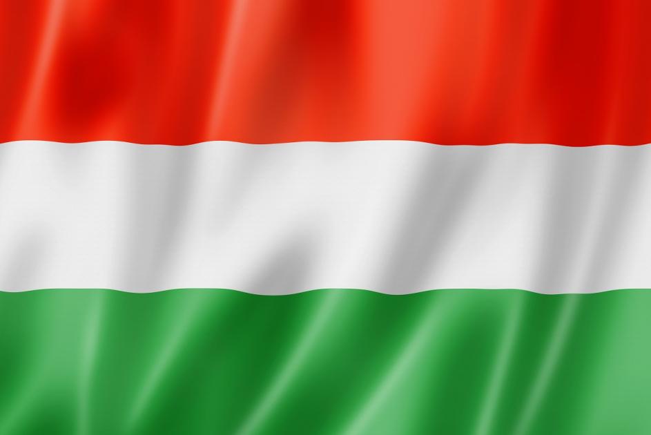 Ungarische Flagge