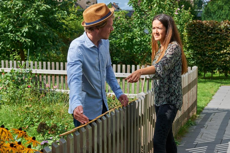 Streit am Gartenzaun