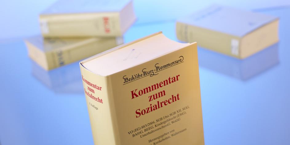 Buch: Kommentar zum Sozialrecht