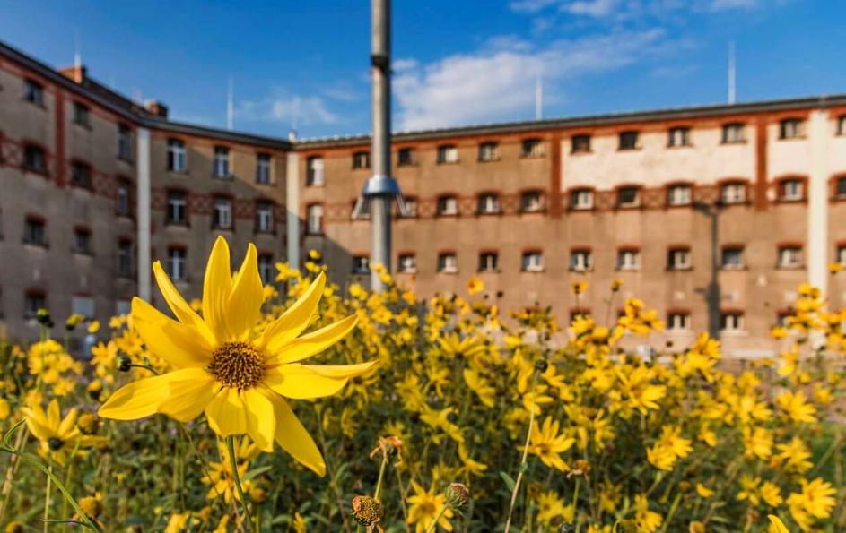 Innenhof JVA mit Blume
