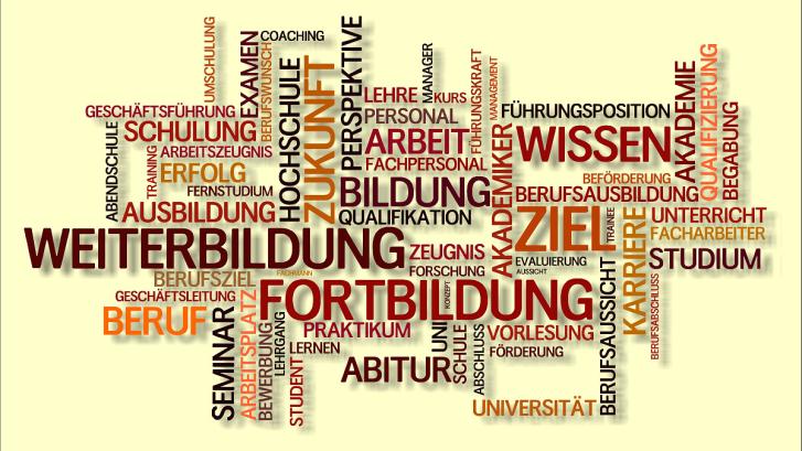 Grafik zur Fortbildung