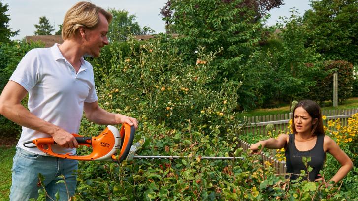 Nachbarschaftsstreit an der Hecke
